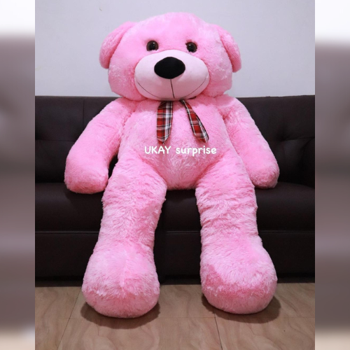 6 Feet Glaint Teddy (2).png